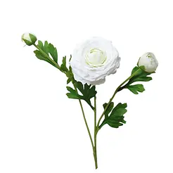 white real touch ranuculus.webp
