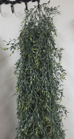 Italian Ruscus Garland