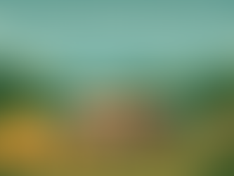 Tennessee State Parks Campground Upgrades: Nathan Bedford Forrest & Montgomery Bell