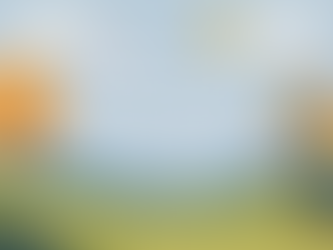 Weather Dynamics and Land Surveying: What Your Project Needs to Know