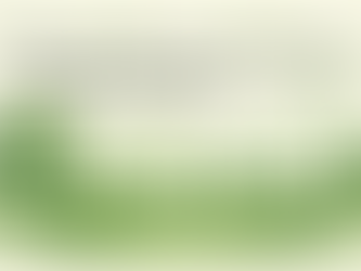 Sustainable Site Development in Central Kentucky: Balancing Growth with Green Infrastructure