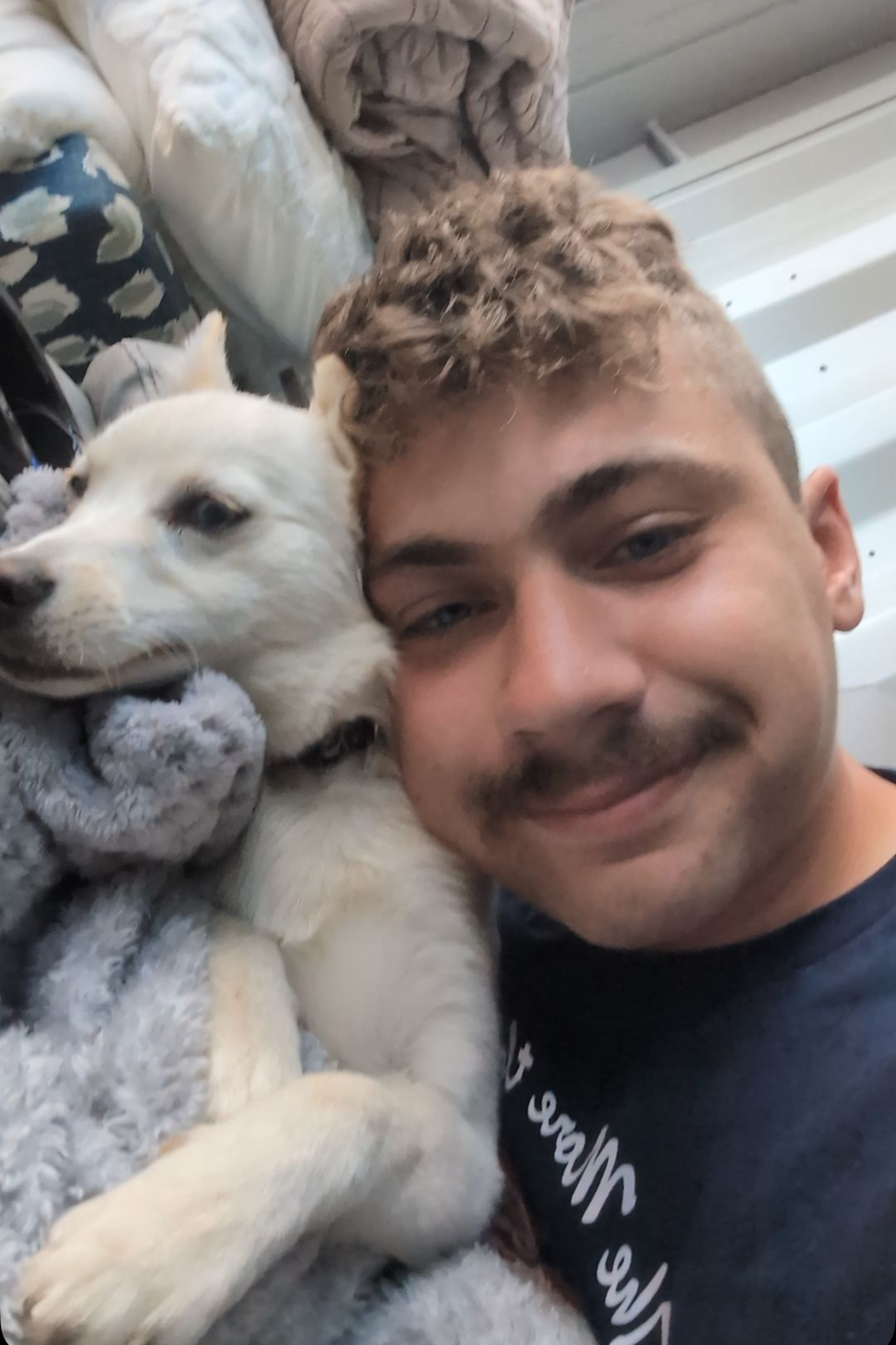 Dog therapy