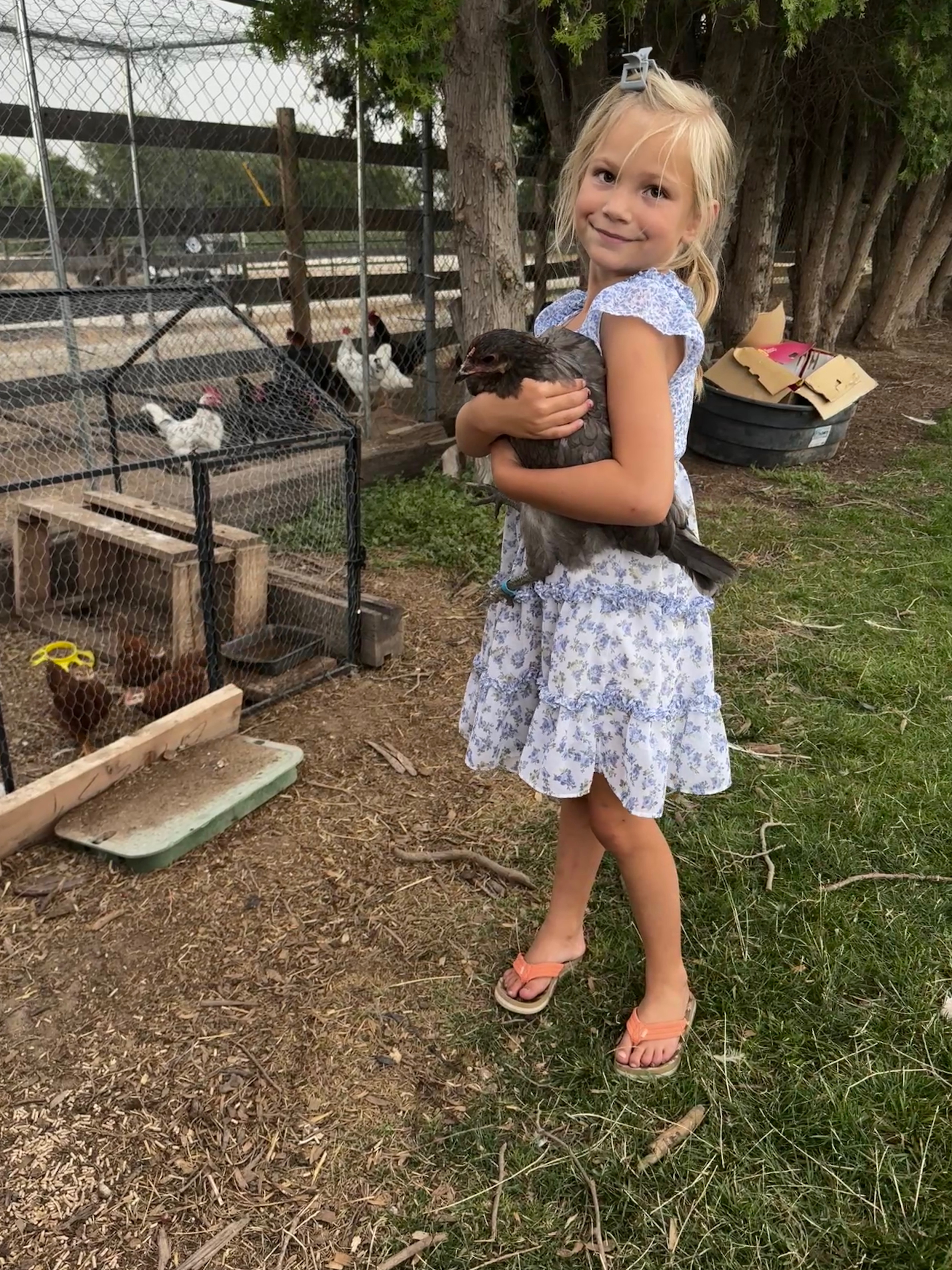 Bird therapy