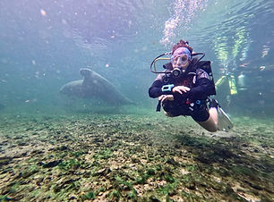 scuba-certification-orlando-blue-springs.jpeg
