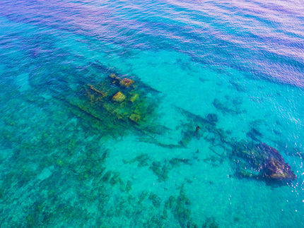 Guided Dives and Open Water Courses in Vero Beach Florida