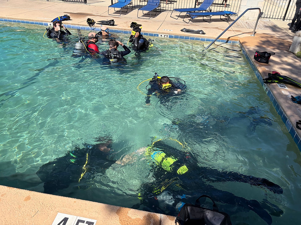 Scuba course taking place in a pool