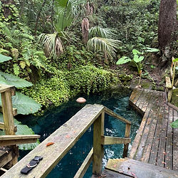 Entrance to Paradise Springs