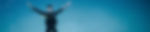SDI Logo Banner
