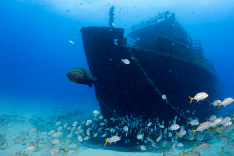 Wreck dive training at the Anna Cecelia near West Palm Beach Florida