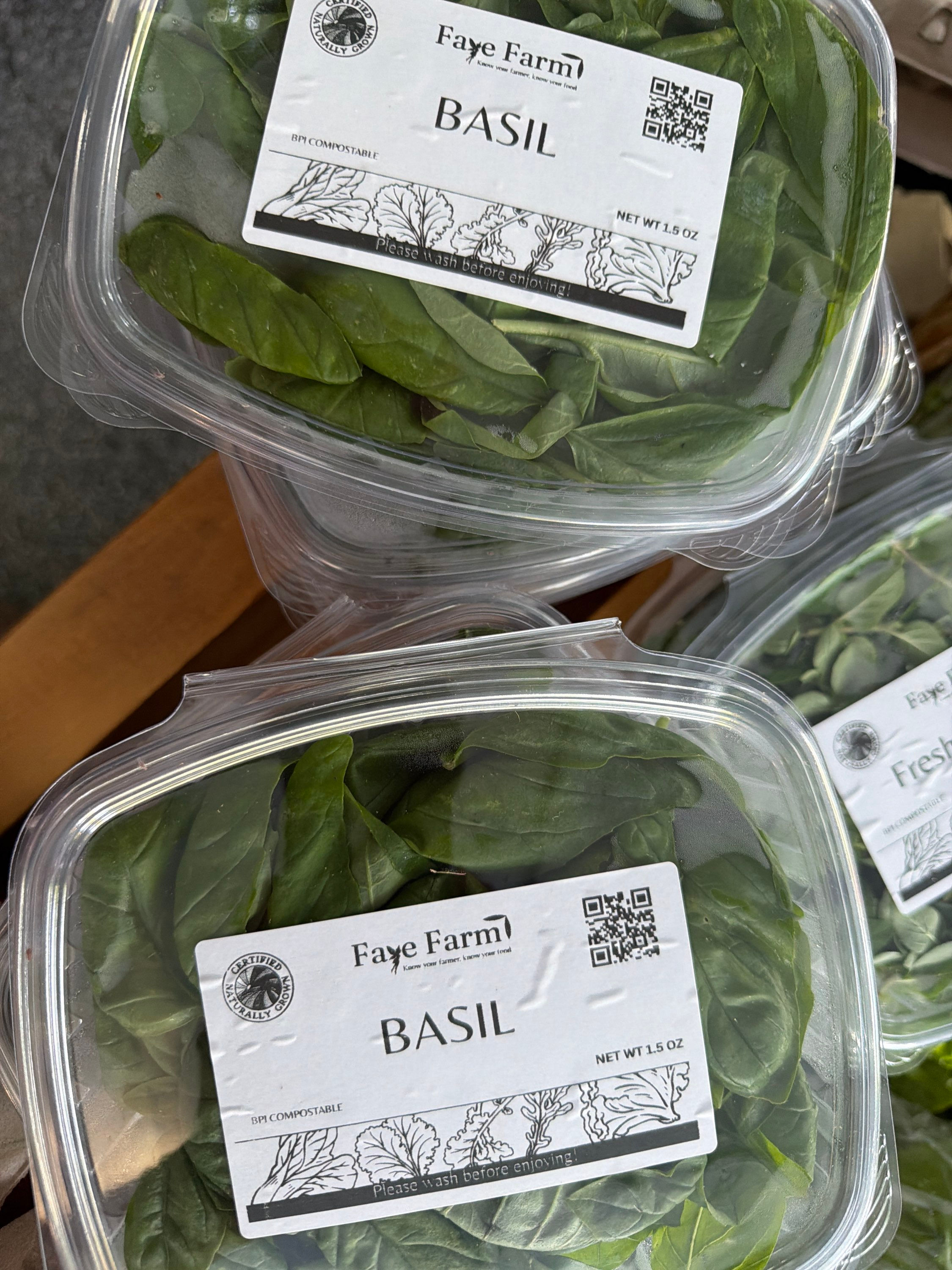 Basil