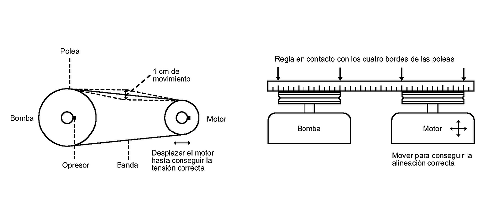 ordeñadoras agromex, agromex ordeñadoras, ordeñadoras para vacas, maquina ordeñadora de vacas, maquina de ordeño de vacas