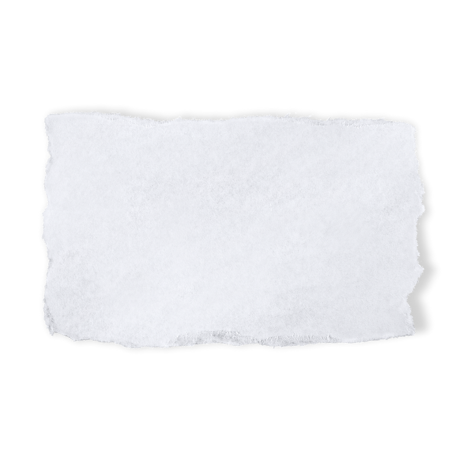 Untitled design (21).png