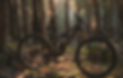 levosl2.png