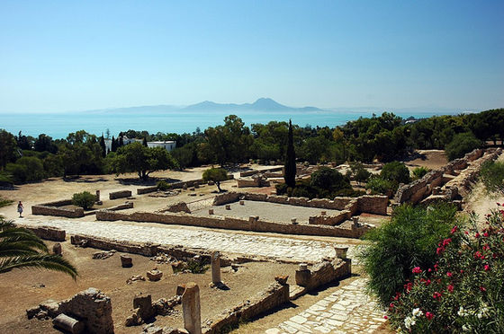 The Ruins of Carthage, Calips, CC BY-SA 3.0 <http://creativecommons.org/licenses/by-sa/3.0/>, via Wikimedia Commons