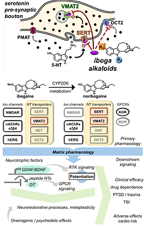 Matrix pharmacology.png