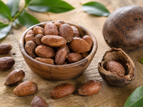 Castanha de baru torrada do Cerrado brasileiro, alternativa nacional à amêndoa