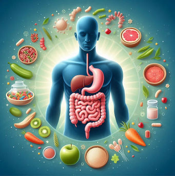 Microbioma e Envelhecimento Saudável: Como Manter uma Flora Jovem e Ativa