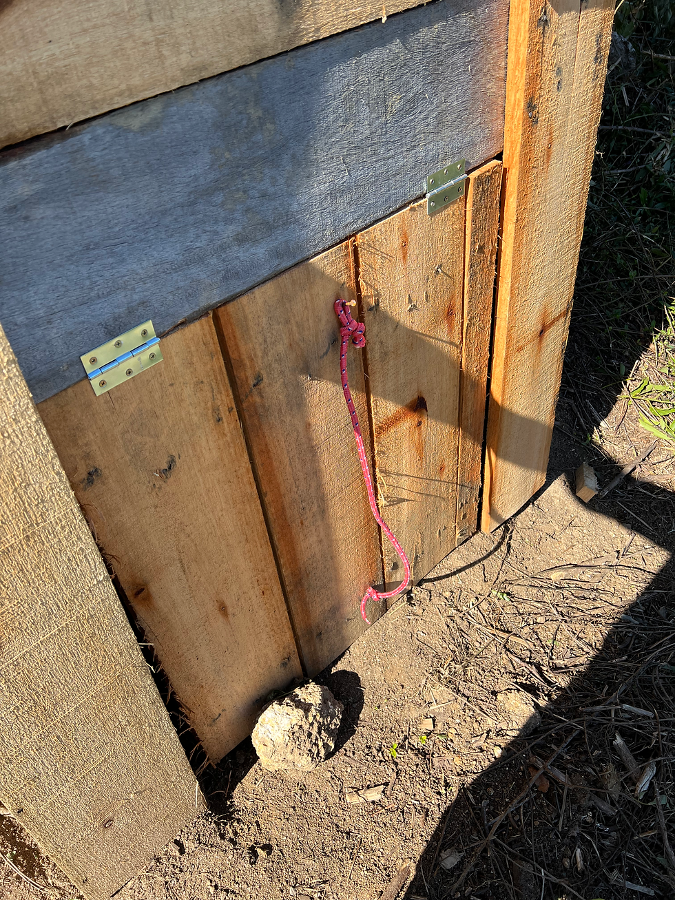 Porta atras do banheiro seco em madeira para tirar os dejetos secos