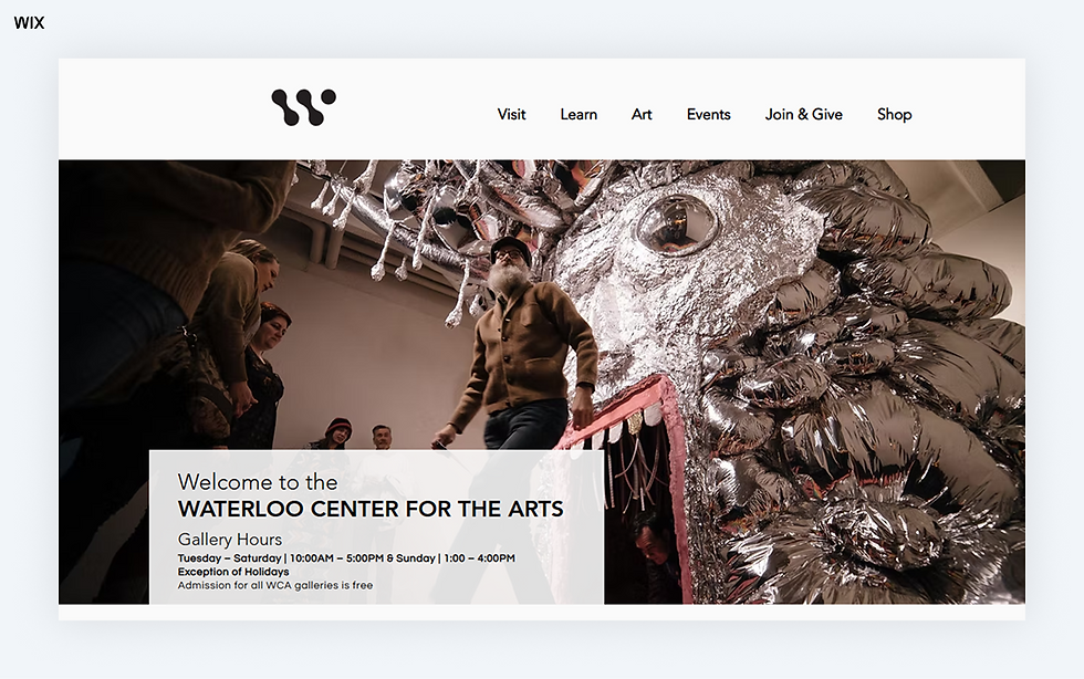 Museum and gallery portfolio: Waterloo Center for the Arts