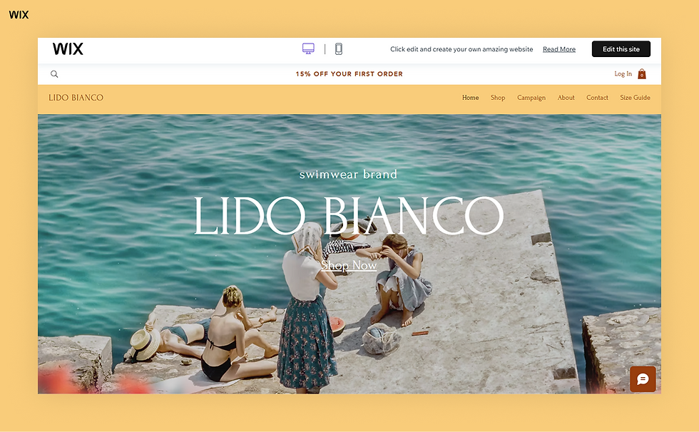 Swimwear store website template