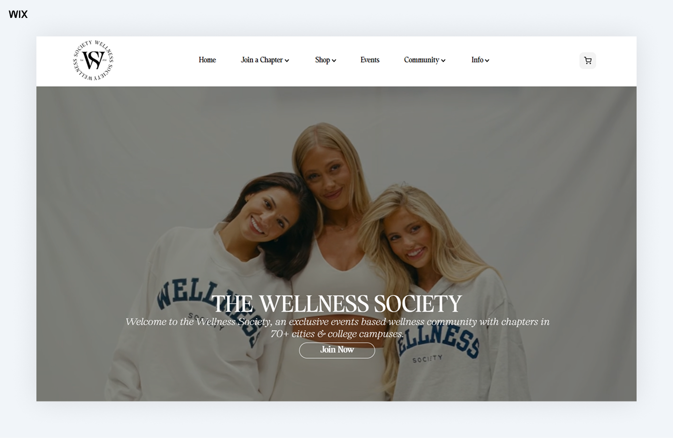 The Wellness Society