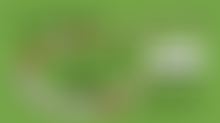 자사몰 만드는 법과 운영 노하우