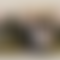 Maddalone Real Estate website example