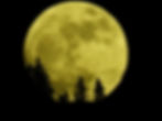 Voyage sonore de la pleine lune du mardi 9 septembre 2025