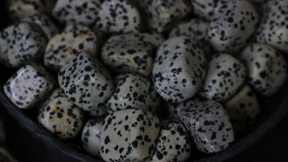 Thumbnail: Dalmation Jasper