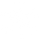 White Snowflake 1