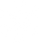 White Snowflake 1