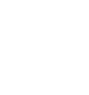 White Snowflake 1