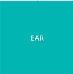 ear.JPG