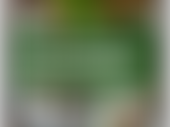 Diplomado Técnicas de las Artes Visuales