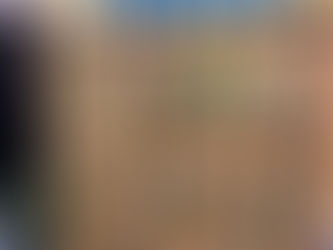 オモロスタイルで育てているコウモリランが、約半年前と比べてこんなに大きく成長しました!