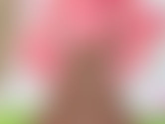 「桜を作ろう!」