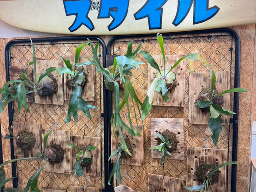 オモロスタイルでは見学・体験を随時受付中!