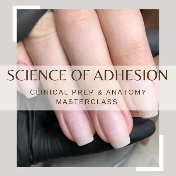 Nail Prep Science & Anatomy