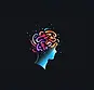 MindMaxedLogo.webp