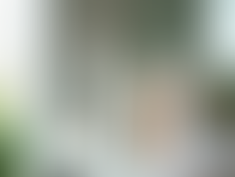 Understanding Safety Standards in Beauty Products