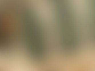 My Style Bags e l’estetica del partire: quando il viaggio diventa estensione dello stile personale