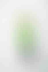 Collezione Fall Winter 23-24 di Veronica Iorio