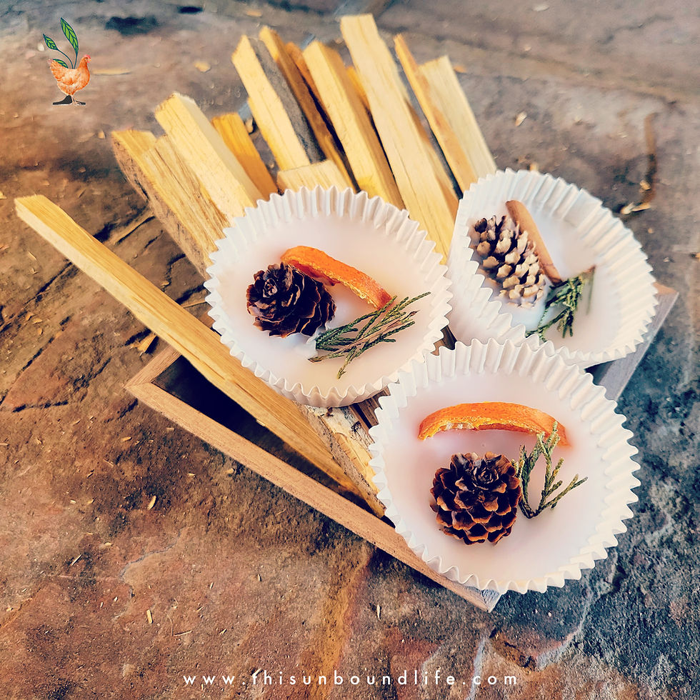 DIY Fire Starters