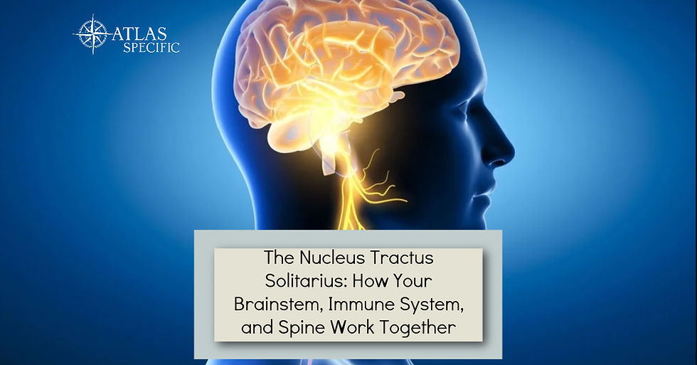 The Nucleus Tractus Solitarius: How Your Brainstem, Immune System, and Spine Work Together