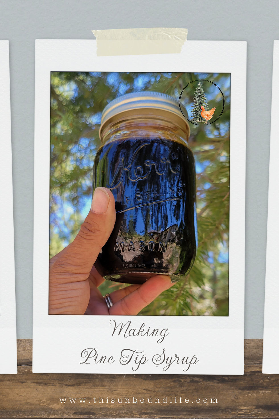 Making Pine Tip Syrup