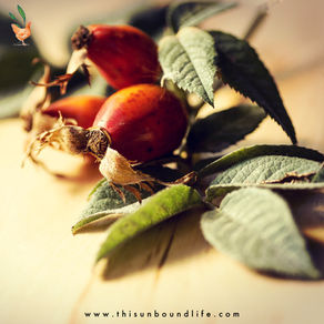 Herb Spotlight - Rose Hips