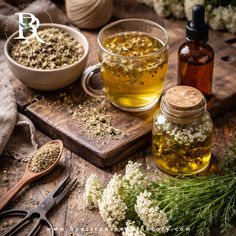 Choosing the Right Herbal Preparation: Why Form Matters More Than You Think