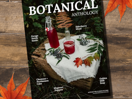 Our Autumn 2024 Botanical Anthology Feature