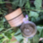 Botanical Micro Polish