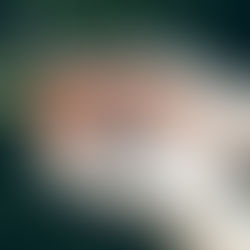 Wildcrafted vs. Organic vs. Foraged - What’s the Difference?